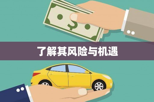 西昌了解其风险与机遇