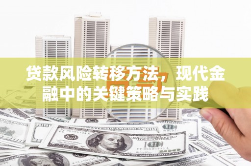 西昌贷款风险转移方法，现代金融中的关键策略与实践