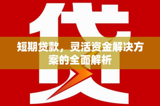 西昌短期贷款，灵活资金解决方案的全面解析