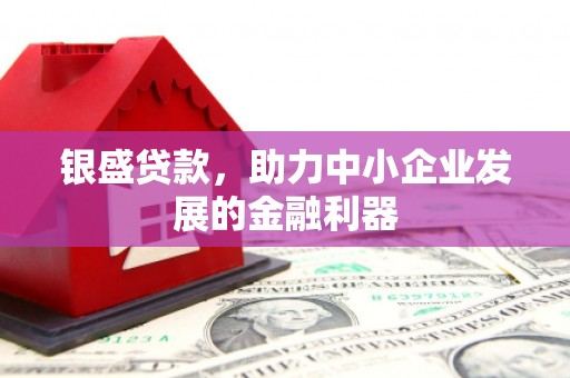 西昌银盛贷款，助力中小企业发展的金融利器