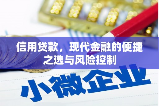 西昌信用贷款，现代金融的便捷之选与风险控制