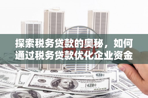 西昌探索税务贷款的奥秘，如何通过税务贷款优化企业资金流