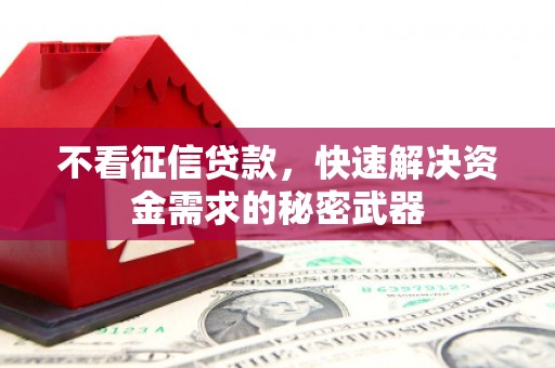 西昌不看征信贷款，快速解决资金需求的秘密武器