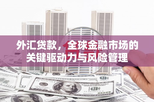 西昌外汇贷款，全球金融市场的关键驱动力与风险管理