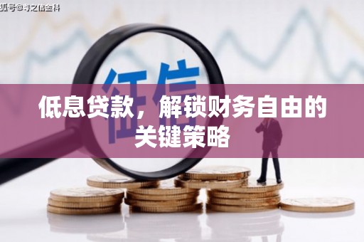西昌低息贷款，解锁财务自由的关键策略