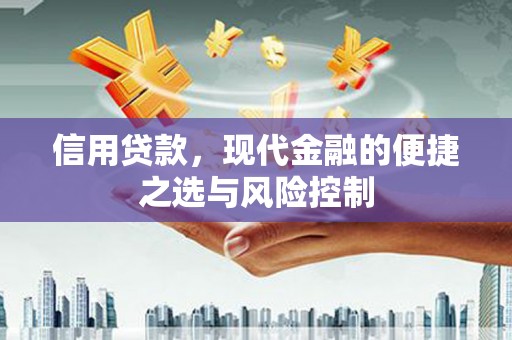 西昌信用贷款，现代金融的便捷之选与风险控制