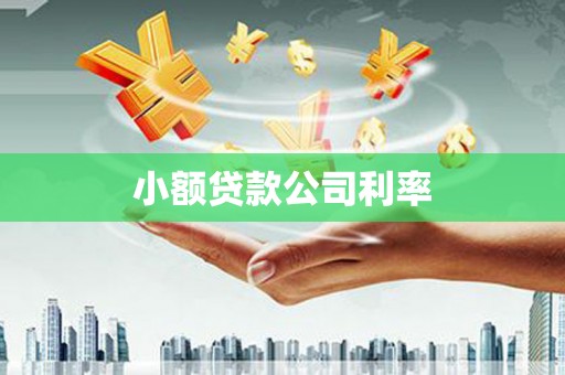 西昌小额贷款公司利率