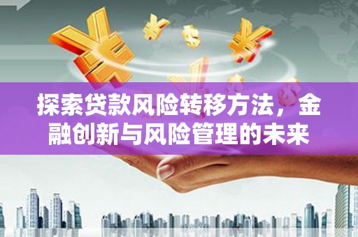 西昌探索贷款风险转移方法，金融创新与风险管理的未来