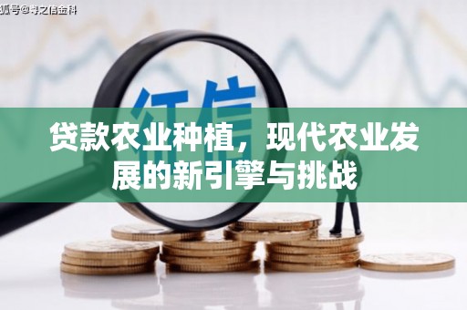 西昌贷款农业种植，现代农业发展的新引擎与挑战