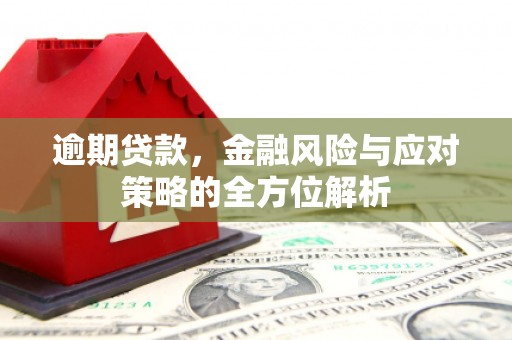 西昌逾期贷款，金融风险与应对策略的全方位解析