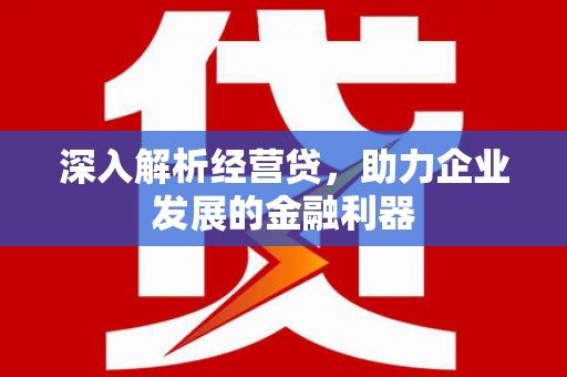 西昌深入解析经营贷，助力企业发展的金融利器