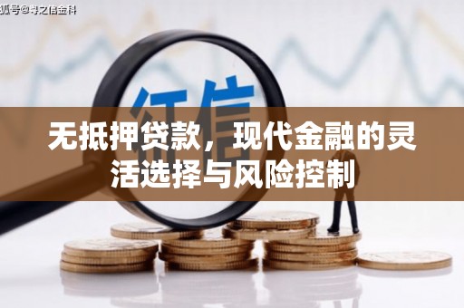 西昌无抵押贷款，现代金融的灵活选择与风险控制