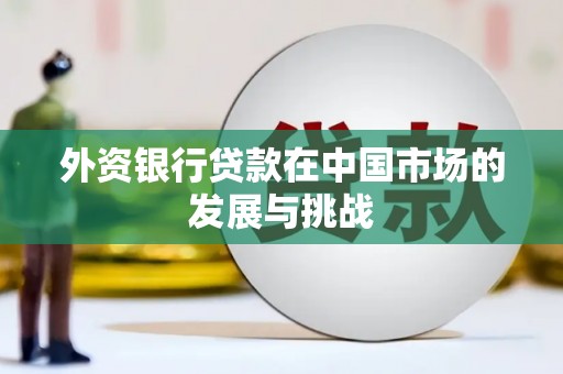 西昌外资银行贷款在中国市场的发展与挑战