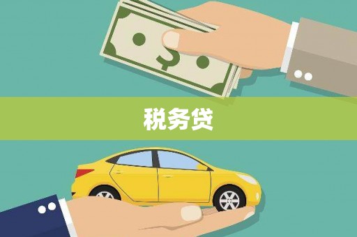 西昌税务贷