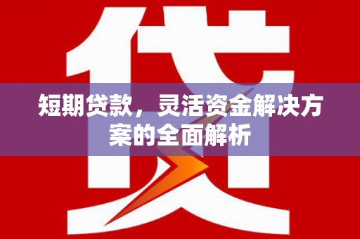 西昌短期贷款，灵活资金解决方案的全面解析