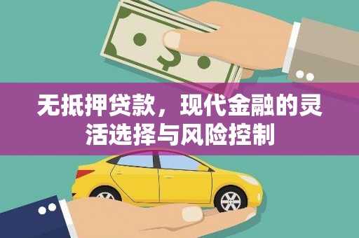 西昌无抵押贷款，现代金融的灵活选择与风险控制