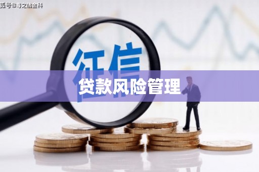 西昌贷款风险管理
