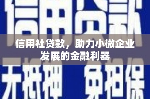 西昌信用社贷款，助力小微企业发展的金融利器