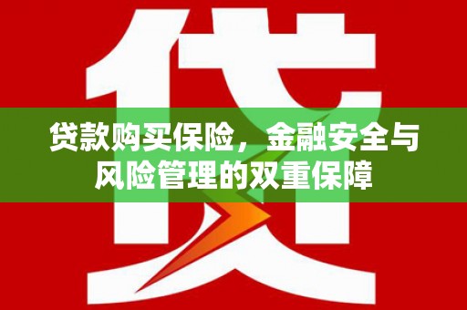 西昌贷款购买保险，金融安全与风险管理的双重保障