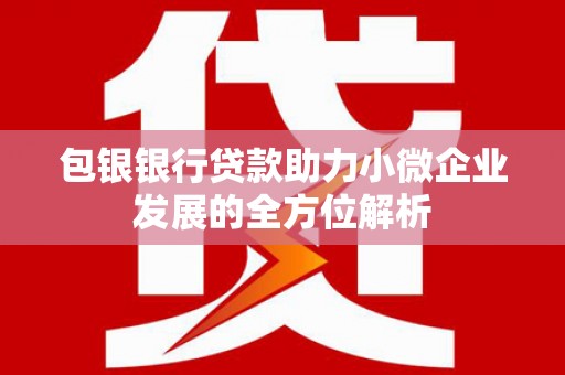 西昌包银银行贷款助力小微企业发展的全方位解析