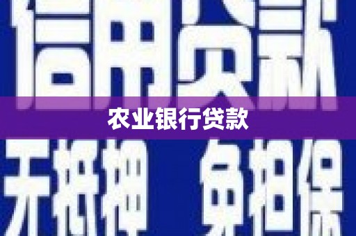 西昌农业银行贷款