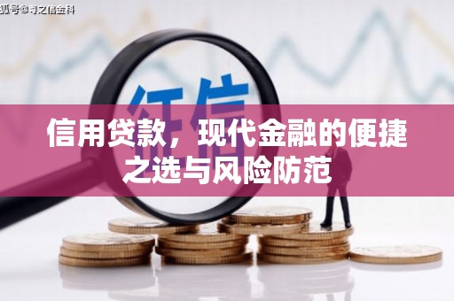 西昌信用贷款，现代金融的便捷之选与风险防范