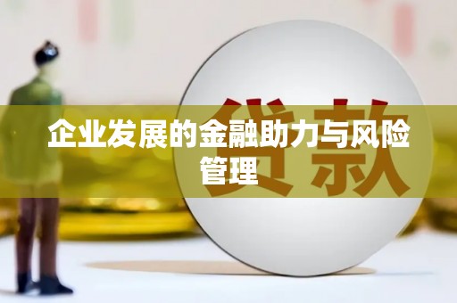 西昌企业发展的金融助力与风险管理
