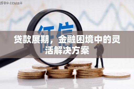 西昌贷款展期，金融困境中的灵活解决方案