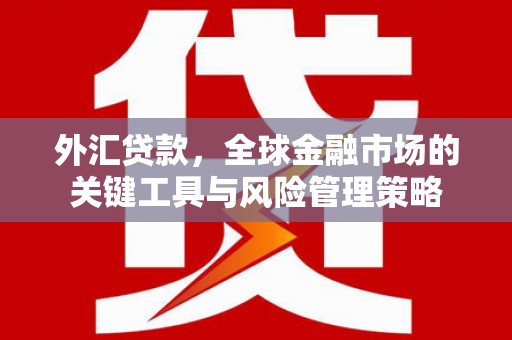 西昌外汇贷款，全球金融市场的关键工具与风险管理策略