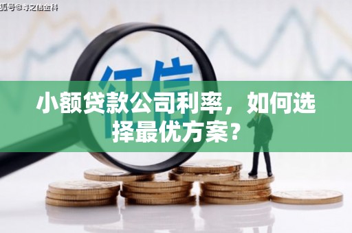 西昌小额贷款公司利率，如何选择最优方案？