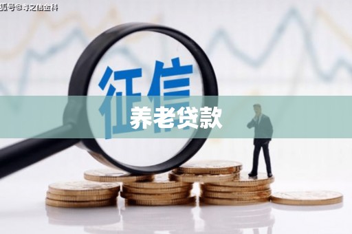 西昌养老贷款