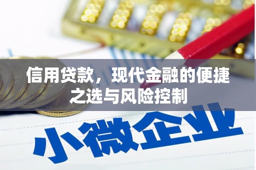 西昌信用贷款，现代金融的便捷之选与风险控制