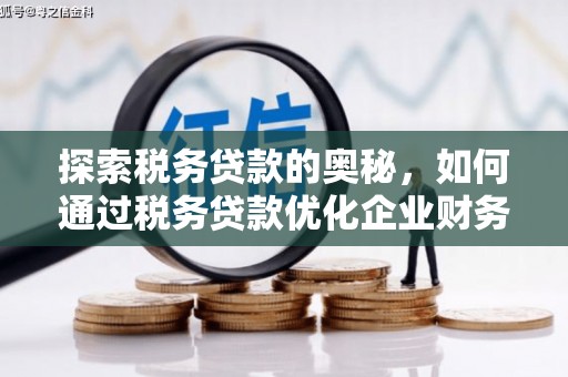 西昌探索税务贷款的奥秘，如何通过税务贷款优化企业财务