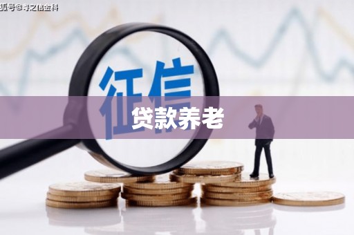 西昌贷款养老
