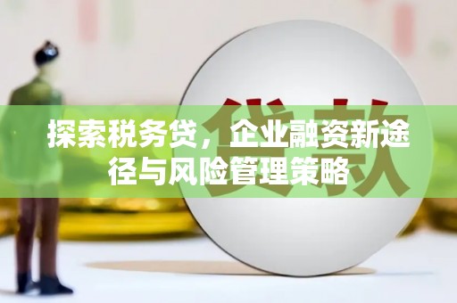 西昌探索税务贷，企业融资新途径与风险管理策略