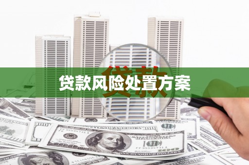西昌贷款风险处置方案