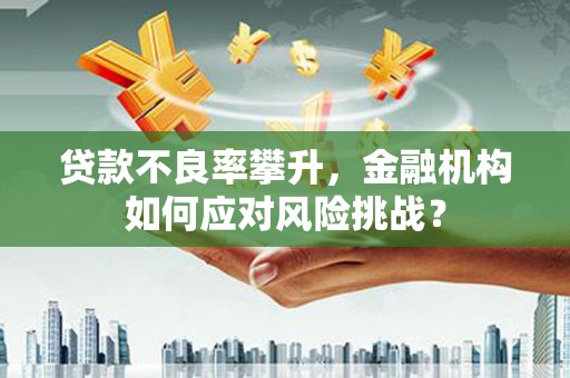 西昌贷款不良率攀升，金融机构如何应对风险挑战？