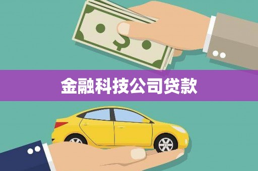 西昌金融科技公司贷款