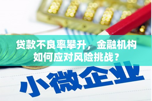 西昌贷款不良率攀升，金融机构如何应对风险挑战？
