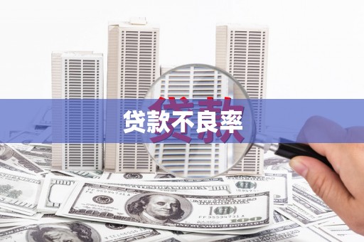 西昌贷款不良率