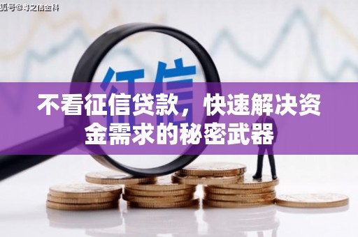 西昌不看征信贷款，快速解决资金需求的秘密武器
