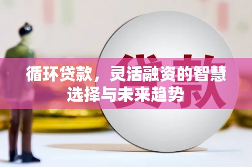 西昌循环贷款，灵活融资的智慧选择与未来趋势