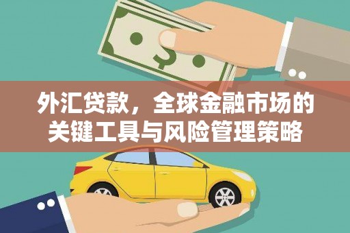 西昌外汇贷款，全球金融市场的关键工具与风险管理策略