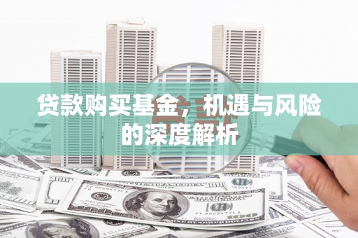 西昌贷款购买基金，机遇与风险的深度解析