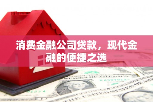 西昌消费金融公司贷款，现代金融的便捷之选