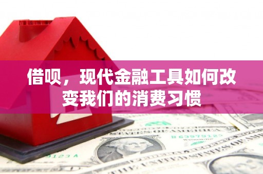 西昌借呗，现代金融工具如何改变我们的消费习惯