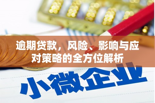 西昌逾期贷款，风险、影响与应对策略的全方位解析