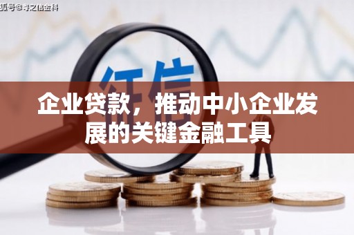 西昌企业贷款，推动中小企业发展的关键金融工具