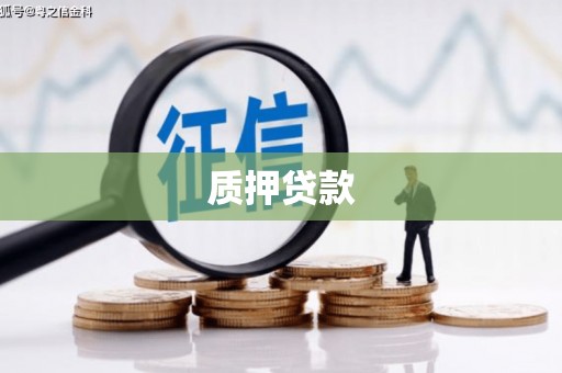 西昌质押贷款