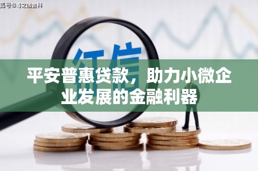 西昌平安普惠贷款，助力小微企业发展的金融利器